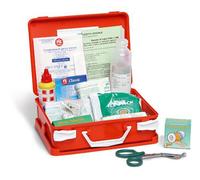 Farmacare Pacco Reintegro Cassette Pronto Soccorso Aziende Con Meno 3 Lavoratori