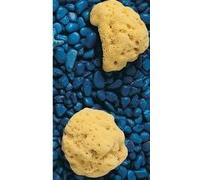 farmacare Spugna nat.fori l n.9 f/care