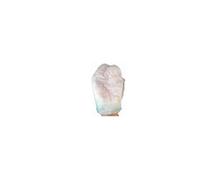 Farmacare Spugna Presaponata 12x20x1 20 Pezzi