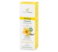 ARNICA Pomata 100ml FDB