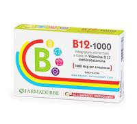 FARMADERBE B12 1000 60 CPR