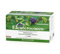 ELEUTEROCOCCO 20 STICK DA 10 ML