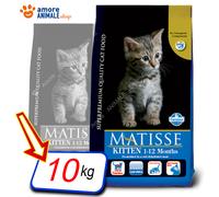 Matisse - Kitten da 10 kg