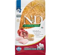 Farmina Dog N&D Ancestral Senior Medium/Maxi → Pollo e Melograno - 2,5 / 12 kg