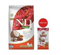 FARMINA N&D Quinoa Dog Skin & Coat Adult Mini aringa, cocco 2,5 kg (aringa e cocco) + FARMINA N&D Quinoa Dental Treat Skin Coat Herring Mini 60 g (7 pezzi) GRATIS!