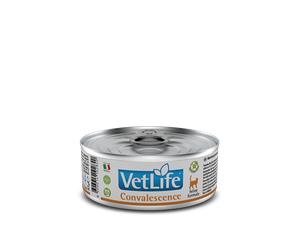 Farmina Vet Life Feline Convalescence 12x85g -2% DI SCONTO SUL SET
