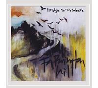 Farmington Hill - Bridge To Nowhere