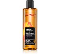Farmona Jantar Amber Essence shampoo per capelli rovinati 300 ml
