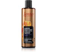 Farmona Jantar Amber Essence shampoo rivitalizzante per capelli biondi e grigi 300 ml