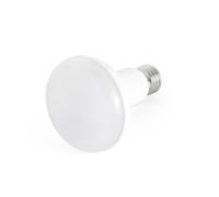 Faro 17477 lampada LED 12 W E27