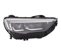 DIEDERICHS 1828084 Faro anteriore