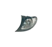 Faro Anteriore Sinistro per BMW Serie 3