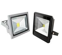 FARO FARETTO A LED PER ESTERNO ALTA LUMINOSITA' ILLUMINAZIONE LUCE BIANCA (30 Watts)