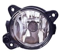 Faro Fendinebbia Anteriore per Skoda Fabia 2007-2010 Destro