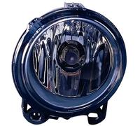 Faro Fendinebbia Anteriore per Bmw X5 E53 2004-2007 Destro