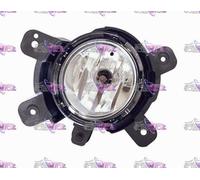 FARO FARETTO FENDINEBBIA DX DESTRO GE881 KIA PICANTO 08>10 DAL 2008 AL 2010