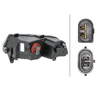 Faro fendinebbia alogeno Dx H8 1NA 011 987-121 HELLA per VW POLO V Tre volumi