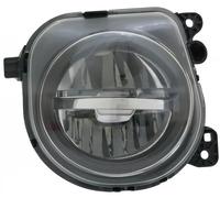 Faro fendinebbia alogeno Dx LED 19-12569-00-9 TYC per BMW 5 5 Touring