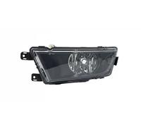 Fendinebbia MAGNETI MARELLI 719000000190 sinistro