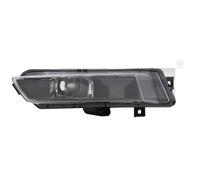 Faro fendinebbia alogeno Sx H11 19-11016-01-9 TYC per BMW 1