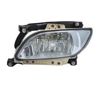Faro fendinebbia alogeno Sx H11 FL-DA007L TRUCKLIGHT per DAF XF