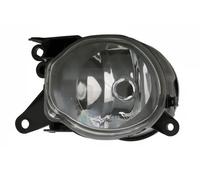 TYC Fendinebbia 19-0002-05-2 – Sinistro H7 per Audi A4 B5 (8D2)