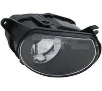 TYC Fendinebbia 19-0254001 sinistro, H7 alogeno per Audi