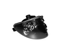 Valeo Faro fendinebbia alogeno 044369 sinistro H8 per BMW Serie 5 F10-F11 Touring