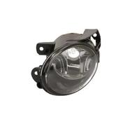 Fendinebbia BLIC 5402-01-043081P sinistro