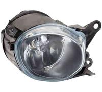 Faro Fendinebbia Anteriore per Audi A4 1999-2000 Destro