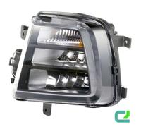 HELLA 1NE 011 694-041 Fendinebbia