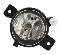Faro Fendinebbia Destro Lato Passeggero Montaggio Per 2011 2012 2013 BMW X5