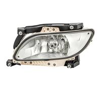 Faro Fendinebbia Sinistro 24 V H11 Tecnologia Lampadine HELLA