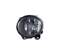 Faro Fendinebbia Sinistro Alogeno H8 Valeo Per BMW 3 Coupé