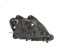 Faro HELLA 1ED 010 116-511 per DAF CF 6.69 2014-