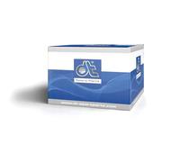 Faro indicatore di direzione SA5A0195 DT Spare Parts