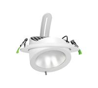 Faro LED da Incasso 42W Orientabile Foro Ø210mm con driver Philips Colore Bianco Variabile CCT