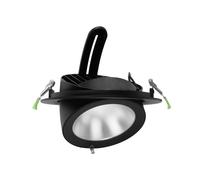 Faro LED Incasso 42W Nero Orientabile Foro Ø210mm con driver Philips Colore Bianco Variabile CCT