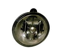 Faro Nebbioso H1 Sinistro Compatibile Con Renault Kangoo FW0/KW0 02/08-12/10