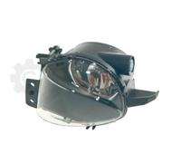 Faro Nebbioso Nebbia Sinistro Per BMW 3 Serie Touring E91 E90