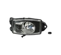 DT Spare Parts 6.84114 Fendinebbia Sx Faro fendinebbia Faro antinebbia Faretto fendinebbia