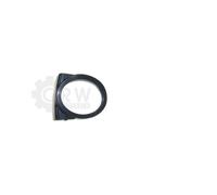 Faro Nebuloso Anteriore Sinistro Per BMW 3 Serie E46 Sport