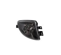 Faro Nebuloso Destro H8 VALEO IAM-Expertise Compatibile Con BMW Serie 5