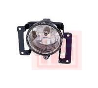 Faro Nebuloso Nebbia Luce NSW Destro Per Hyundai Tucson JM
