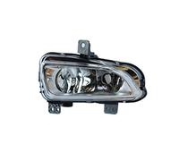 Faro Nebuloso Nebbia Sinistro H8 Per Fiat 500X 334_ 334