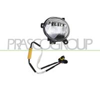 Faro Nebuloso Nebbia Sinistro Per Audi A4 Avant 8K5 B8 Seat Exeo ST 3R5