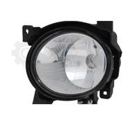 Faro Nebuloso Nebulosa Luce Nsw Sinistra Per Hyundai Santa Fé II CM