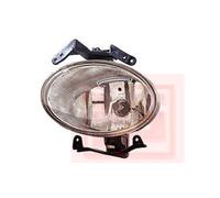 Faro Nebuloso Nebulosa Luce Nsw Sinistra Per Hyundai Santa Fé II CM