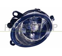 Faro Nebuloso Nebulosa Luce Sinistra Per Audi A6 Avant 4F5 C6 4F2