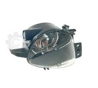 Prasco Fendinebbia BMW Serie 3 E90/E91 Destro 2005-2009 Lato Dx 63176948374